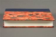 Split Board